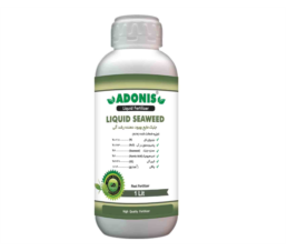 Seaweed Extract